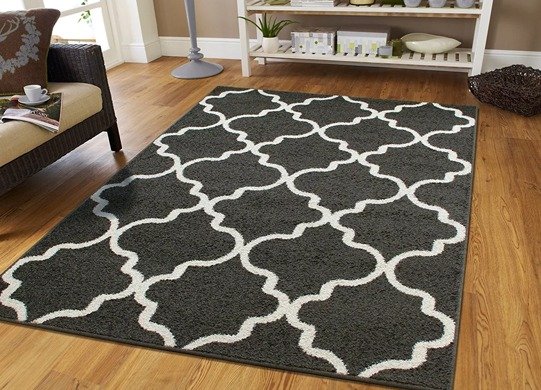 Timeless Elegance: Black and White Rugs for Every Space